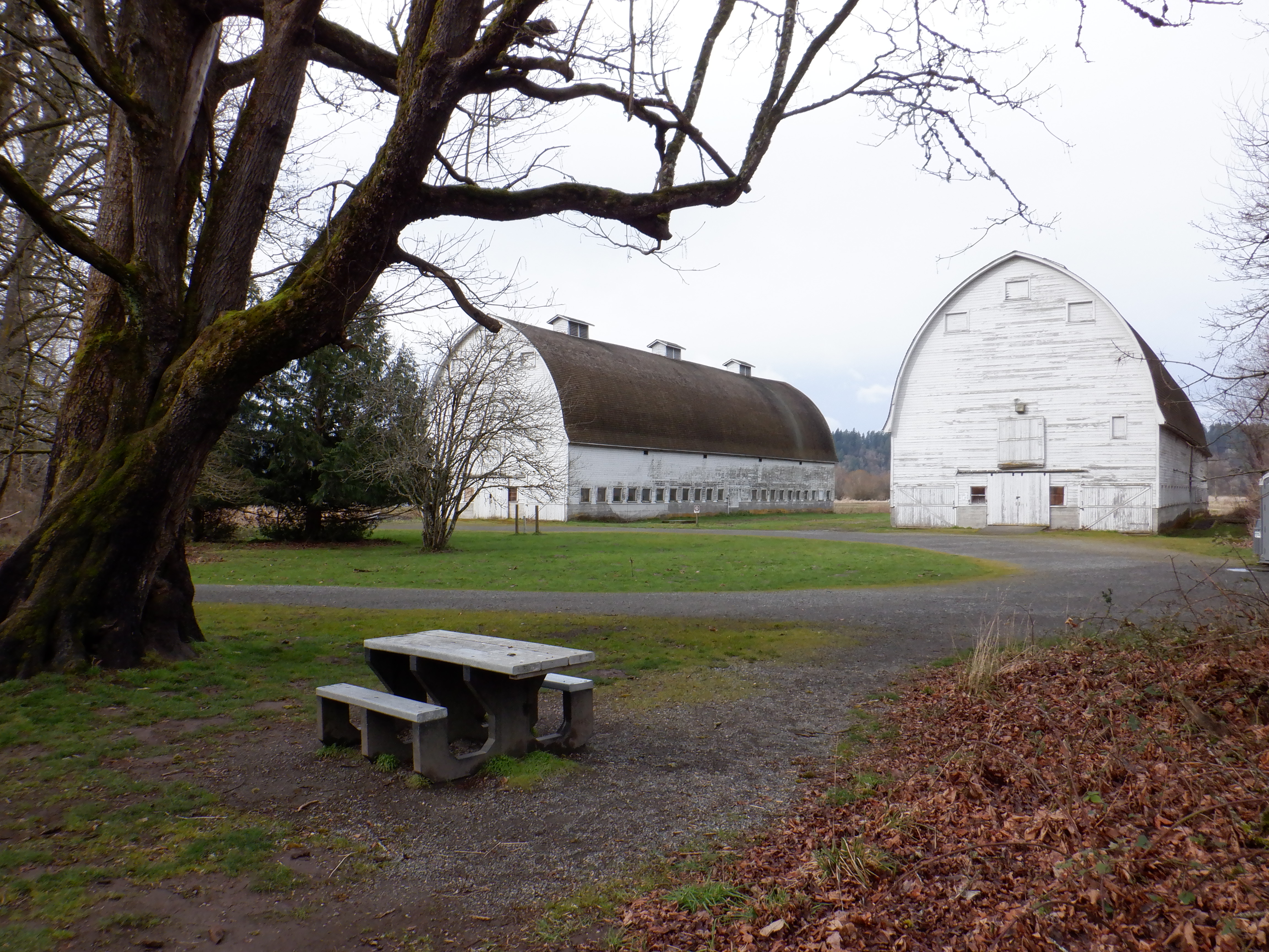 ./2020/03 - Seattle/DSCF1100.JPG